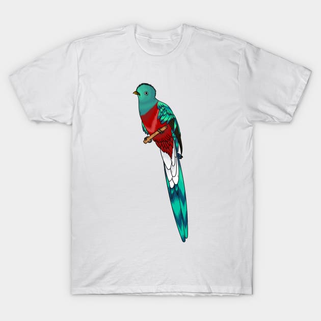 Resplendent quetzal bird cartoon illustration T-Shirt by Cartoons of fun